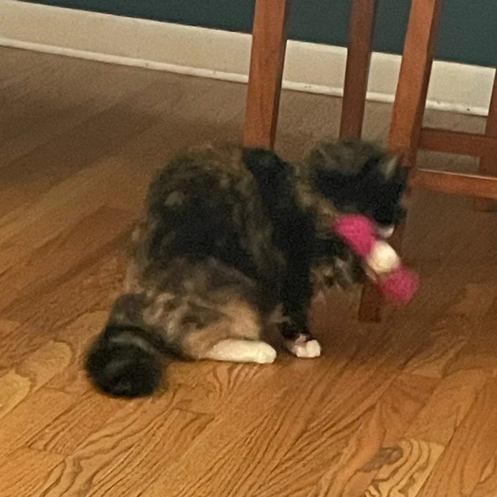 Cat Toy Cat Log Small Dog Toy